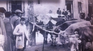 Martí Vidal, any 1921, a la Plaça del Bestiar de Sant Celoni un dia de mercat